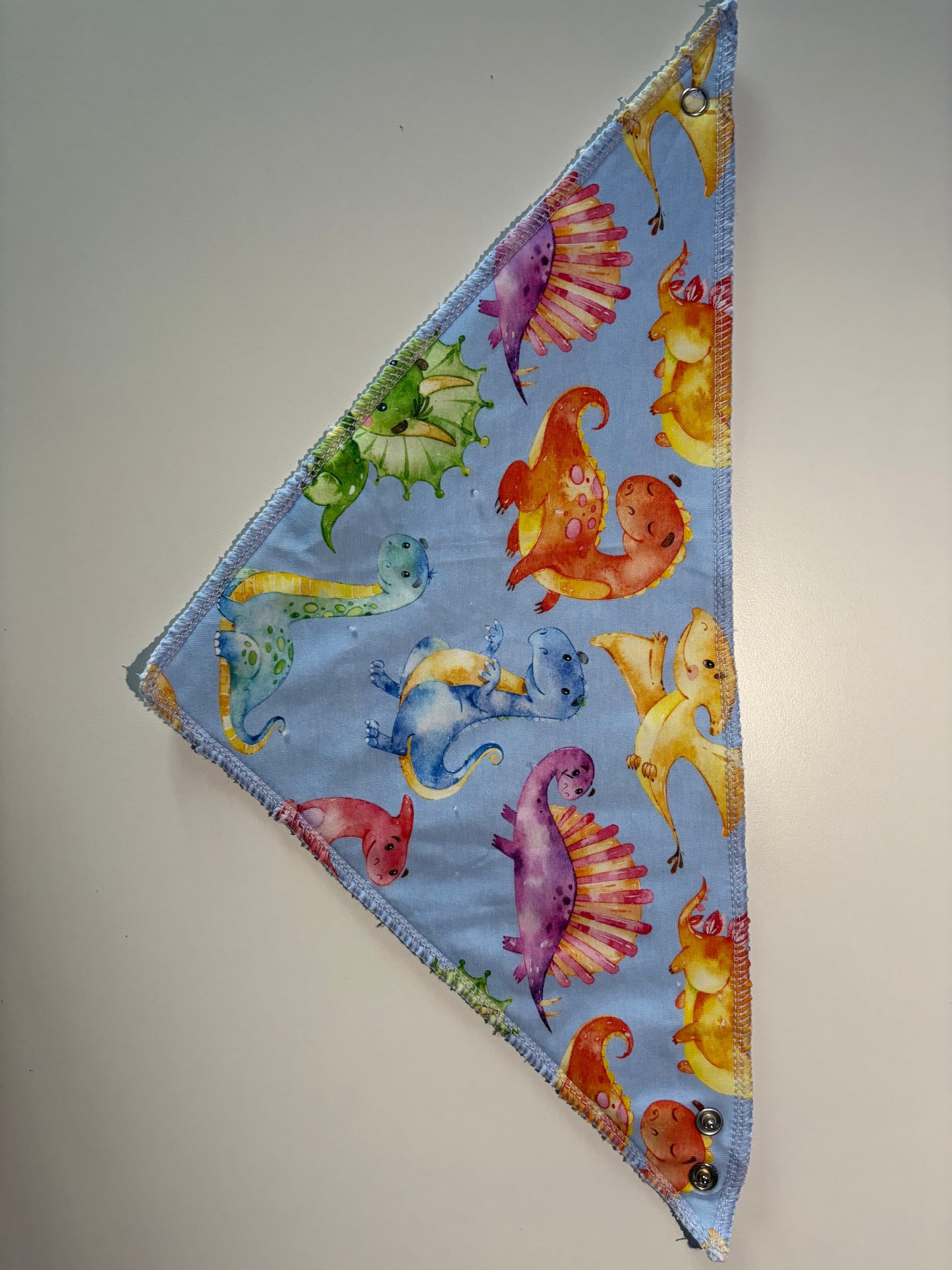 Dinosaur Dribble Bib