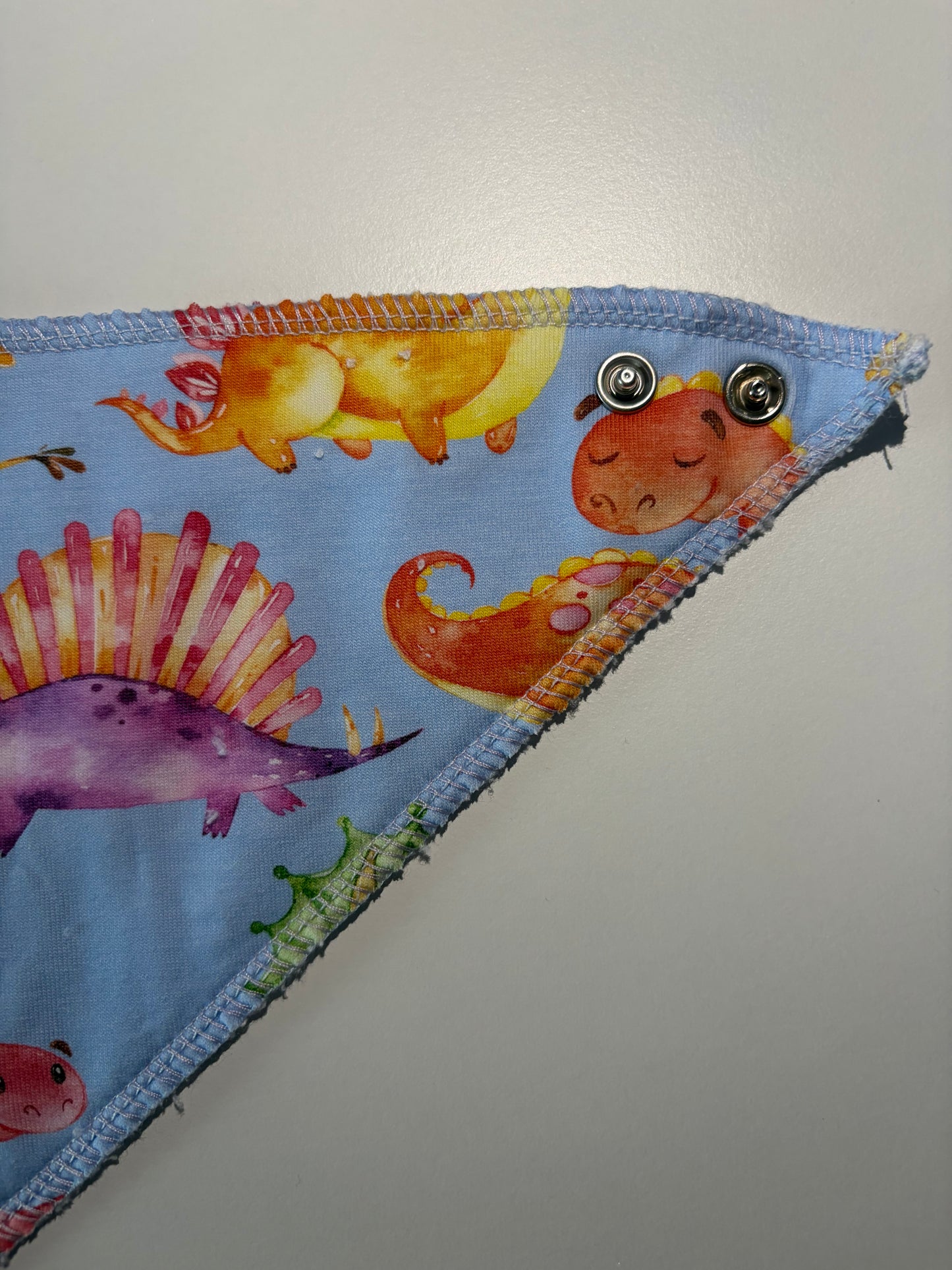 Dinosaur Dribble Bib
