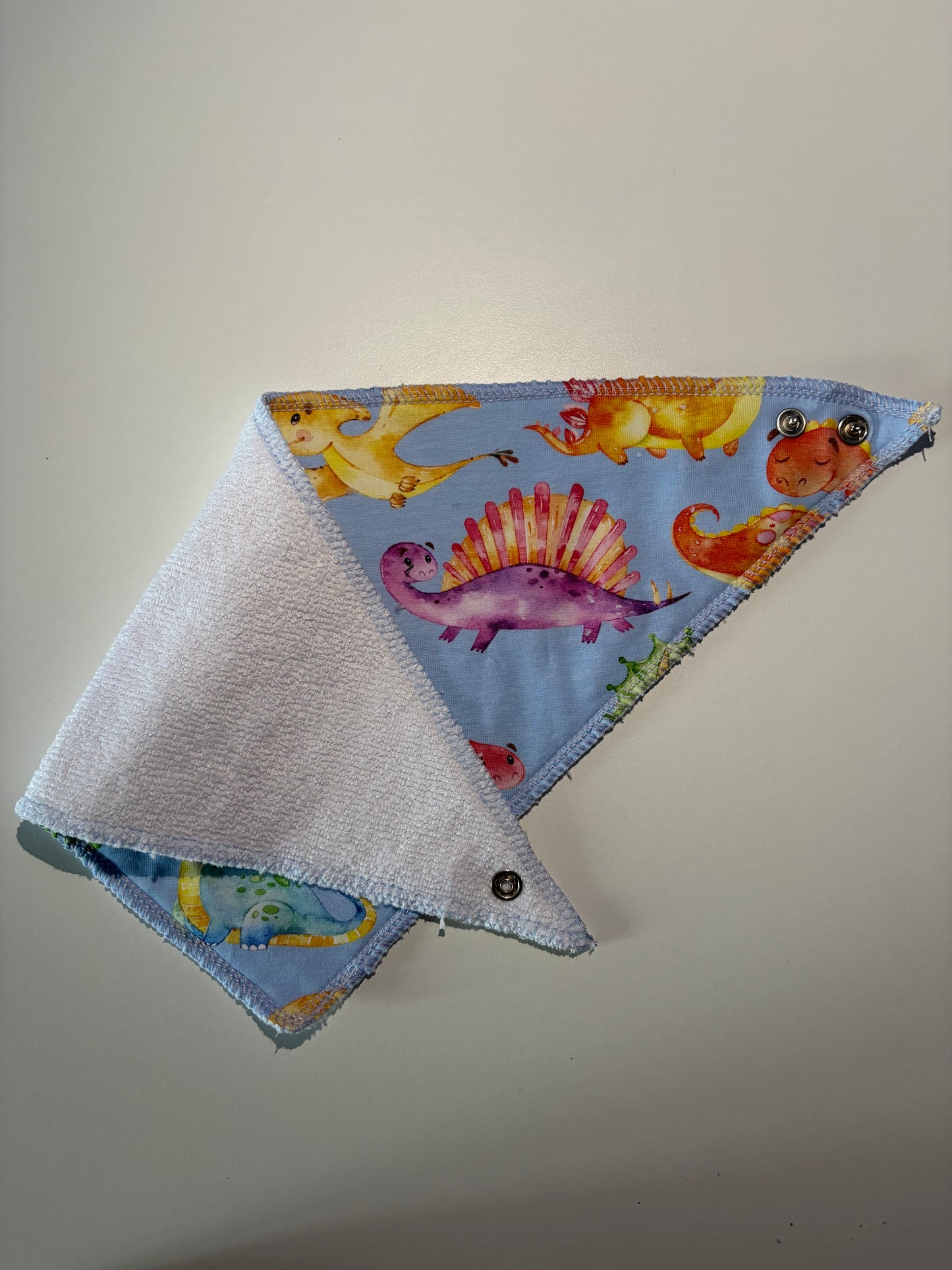 Dinosaur Dribble Bib